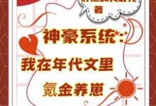 神豪系统：我在年代文里氪金养崽最新章节阅读神豪系统：我在年代文里氪金养崽(叶晓琳)试读更新章节-神奇文学