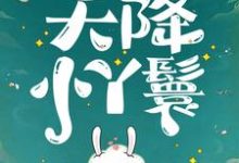 (全文)天降小丫鬟夏夏小说推荐,天降小丫鬟全章小说阅读-神奇文学
