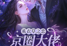 (全文)薰衣草之恋,京圈大佬暗恋我热门小说排行榜,薰衣草之恋,京圈大佬暗恋我宁清灵全章小说阅读-神奇文学