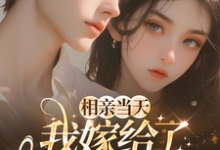 相亲当天,我嫁给了京都首富(蓝冉)全本书籍阅读相亲当天,我嫁给了京都首富完整版小说-神奇文学