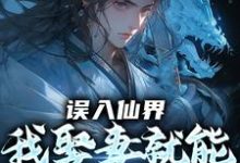 (全文)误入仙界,我娶妻就能天下无敌(许世安)全本书籍阅读误入仙界,我娶妻就能天下无敌免费小说全本-神奇文学