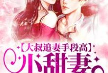 大叔追妻手段高,小甜妻逃不掉叶柠谢聿礼完结小说推荐大叔追妻手段高,小甜妻逃不掉全本书籍阅读-神奇文学
