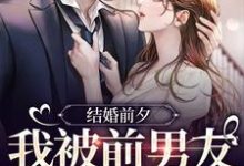 (全文)结婚前夕，我被前男友带走了薄寒深曲南枝全本免费在线阅读-神奇文学