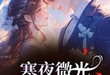 寒夜微光:她的逆袭人生推荐完结小说寒夜微光:她的逆袭人生(袁小苔)免费小说全本-神奇文学