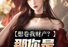 (全文)想卷我财产？那你是碰到铁板了舒楹全本免费在线阅读-神奇文学