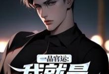 一品官运：我就是无冕之王陈飞宇热门小说排行榜一品官运：我就是无冕之王免费小说-神奇文学