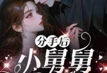 (全文)分手后，小舅舅夜夜洗床单沈锦悦小说推荐，分手后，小舅舅夜夜洗床单全章小说阅读-神奇文学