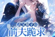去父留子后，前夫跪求伺候我月子！林亦棠热门小说排行榜去父留子后，前夫跪求伺候我月子！免费小说-神奇文学