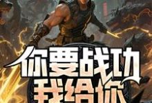你要战功我给你，妖兽入侵你哭啥推荐完结小说，你要战功我给你，妖兽入侵你哭啥叶天免费小说全本-神奇文学