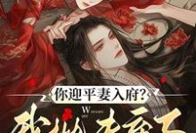 (全文)你迎平妻入府？我抛夫弃子嫁暴君（宋锦书）免费小说你迎平妻入府？我抛夫弃子嫁暴君试读更新章节-神奇文学