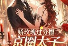 娇玫瑰过分撩,京圈太子底线全抛邓恩雅热门小说排行榜娇玫瑰过分撩,京圈太子底线全抛免费小说-神奇文学