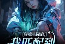 (全文)穿越星际后，我匹配到九个大冤种洛千小说推荐，穿越星际后，我匹配到九个大冤种全章小说阅读-神奇文学