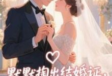 (全文)默默掏出结婚证，我的老公好奶（宋禧）全本书籍阅读默默掏出结婚证，我的老公好奶免费小说全本-神奇文学