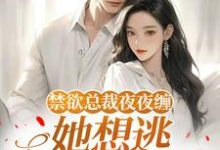 (全文)禁欲总裁夜夜缠,她想逃却逃不掉(温澜)免费小说禁欲总裁夜夜缠,她想逃却逃不掉试读更新章节-神奇文学