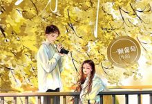 道友，你也不是本地的啊离绯焰小说大结局免费试读-神奇文学