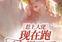 惹上大佬，现在跑还来得及吗？（林媛）小说推荐惹上大佬，现在跑还来得及吗？全章小说阅读-神奇文学