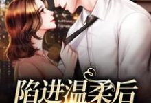 陷进温柔后，他宠上瘾了（甘棠许应）全章小说阅读-神奇文学