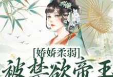 娇娇柔弱，被禁欲帝王强制囚宠宋泱裴慎完结小说推荐，娇娇柔弱，被禁欲帝王强制囚宠全章小说阅读-神奇文学