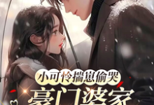 小可怜揣崽偷哭，豪门婆家来团宠（苏念念）小说推荐小可怜揣崽偷哭，豪门婆家来团宠全章小说阅读-神奇文学
