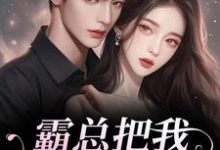 霸总把我当替身后，他真的后悔了最新完结小说霸总把我当替身后，他真的后悔了白筱帆盛延免费小说-神奇文学