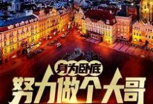 身为卧底，努力做个大哥不过分吧推荐完结小说，身为卧底，努力做个大哥不过分吧白舟免费小说全本-神奇文学
