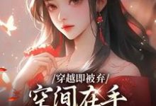 穿越即被弃，空间在手，极品靠边站推荐完结小说，穿越即被弃，空间在手，极品靠边站宋锦绣免费小说全本-神奇文学