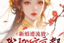 (全文)新婚遭流放，我搬空京都去逃荒桑晚柠小说推荐，新婚遭流放，我搬空京都去逃荒全章小说阅读-神奇文学