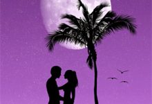 掠爱甜婚：太子强娶她入东宫小说，掠爱甜婚：太子强娶她入东宫在线阅读-神奇文学