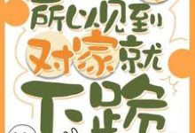 因为太怂所以见到对家就下跪完整版小说因为太怂所以见到对家就下跪(叶暮)全章小说阅读-神奇文学
