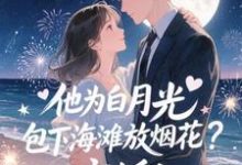 他为白月光包下海滩放烟花？离婚！最新完结小说他为白月光包下海滩放烟花？离婚！霍宴州云初免费小说-神奇文学