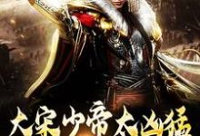 赵炳大宋少帝太凶猛,胡虏跪求放过全本免费在线阅读-神奇文学