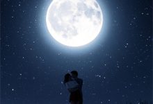 寻找能够免费阅读等一场满城飞絮小说的平台-神奇文学