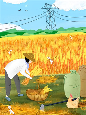 林栖陆则衍小说在线章节免费阅读（别后自有好春山无弹窗无删减）