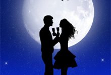 官场:离婚后,我走上了权力巅峰陈正阳张晚星,官场:离婚后,我走上了权力巅峰在线无弹窗阅读-神奇文学