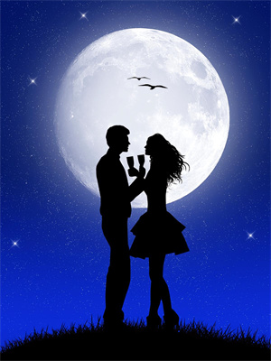 官场：离婚后，我走上了权力巅峰陈正阳张晚星，官场：离婚后，我走上了权力巅峰在线无弹窗阅读