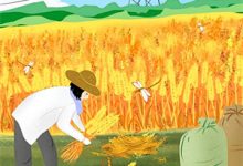 穿越古代:养孙科举入朝堂这本小说在哪里可以看?哪里有免费试读章节?-神奇文学