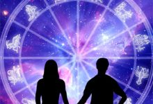 团宠病美人的男友是TOP1玩家这本小说完结了吗？免费查看最新章节-神奇文学